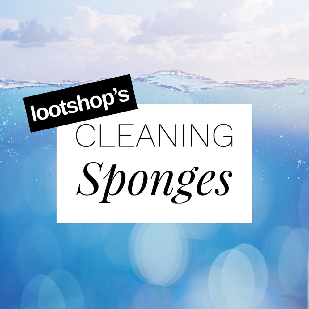 Mr Loot’s Cleaning Sponges - 10 Pack